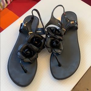 Melissa sandals. Black flowers! Poolside fun.
